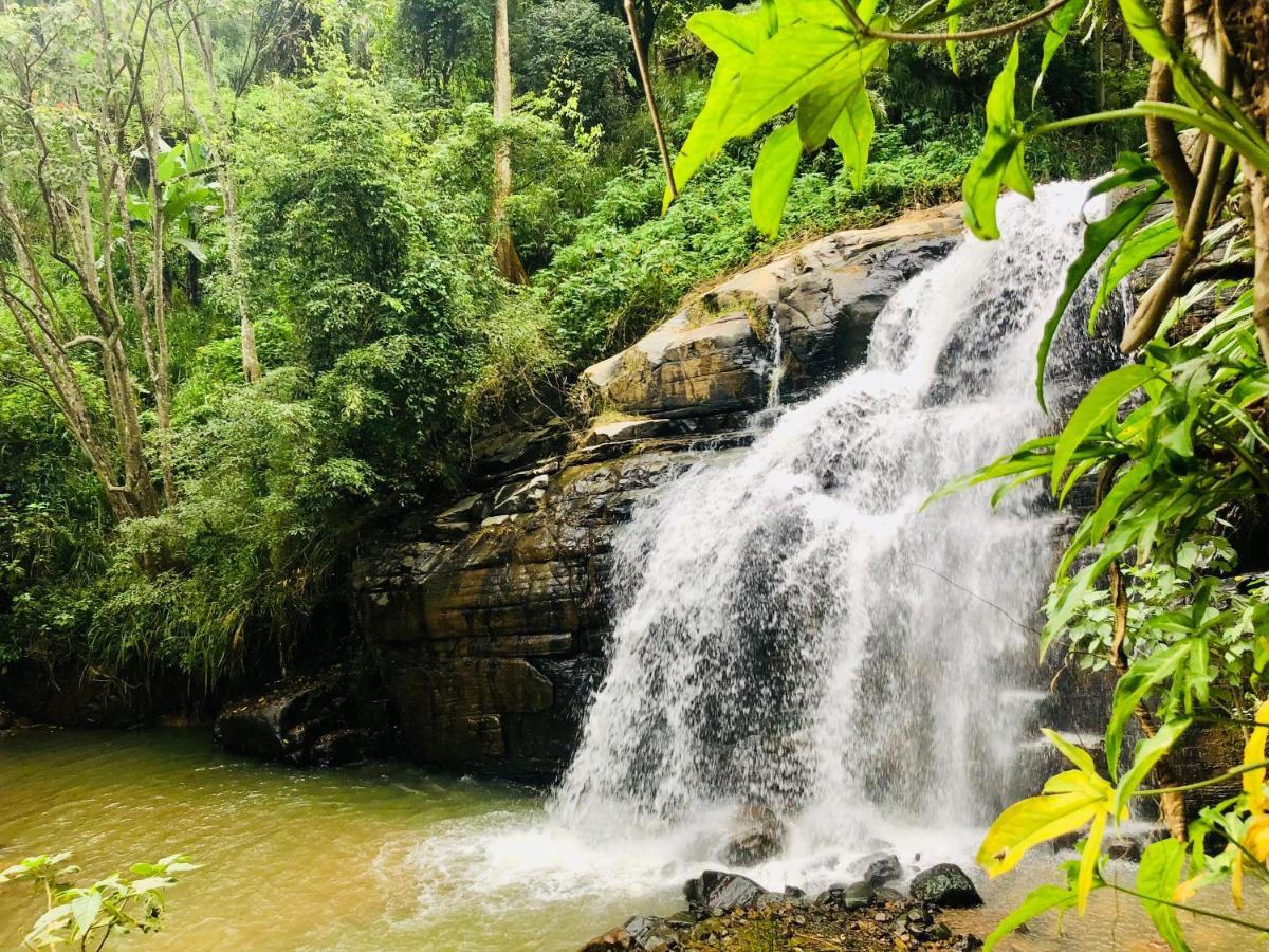 River Splendour Home Stay Ella Exterior foto