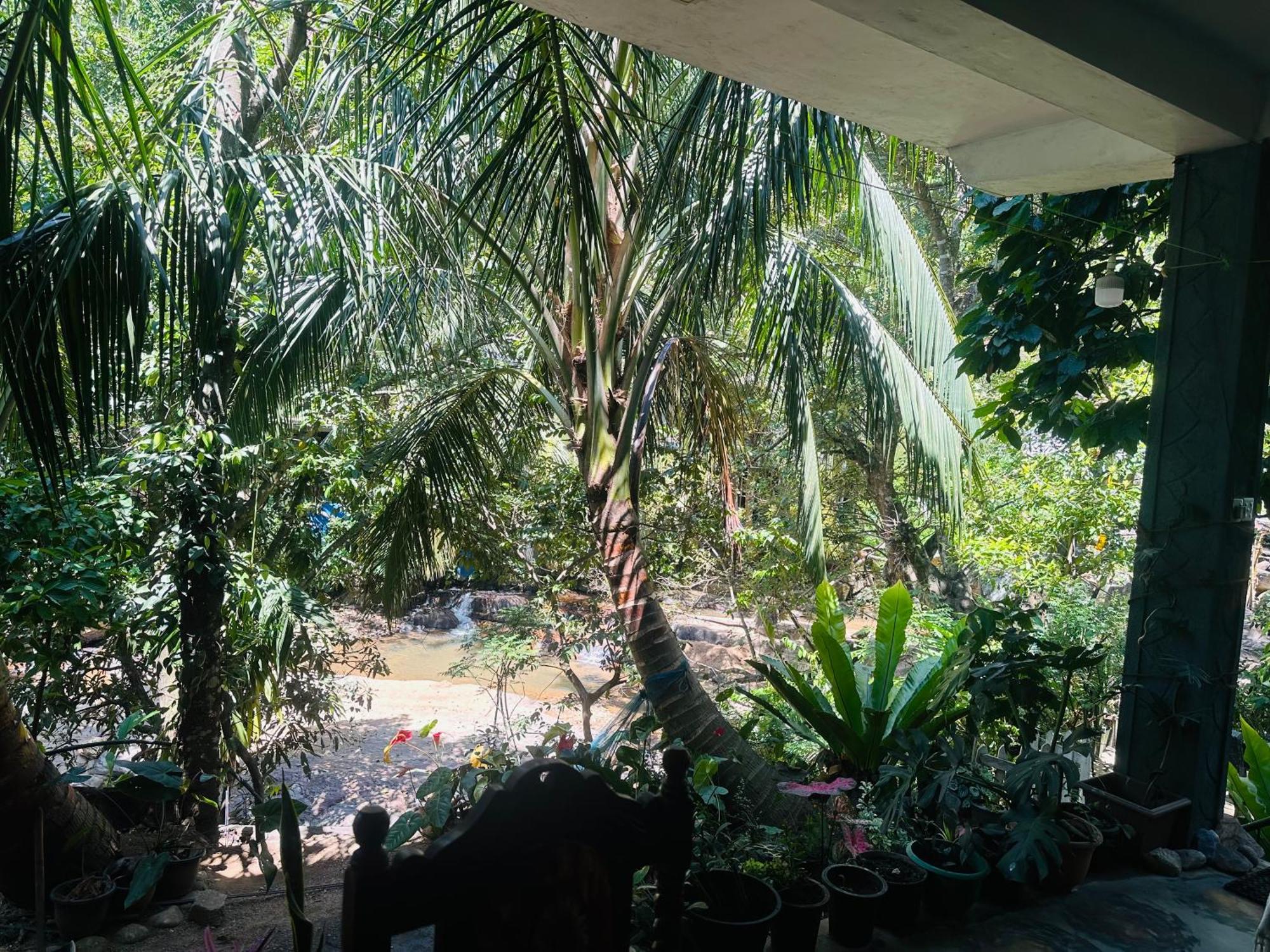 River Splendour Home Stay Ella Exterior foto